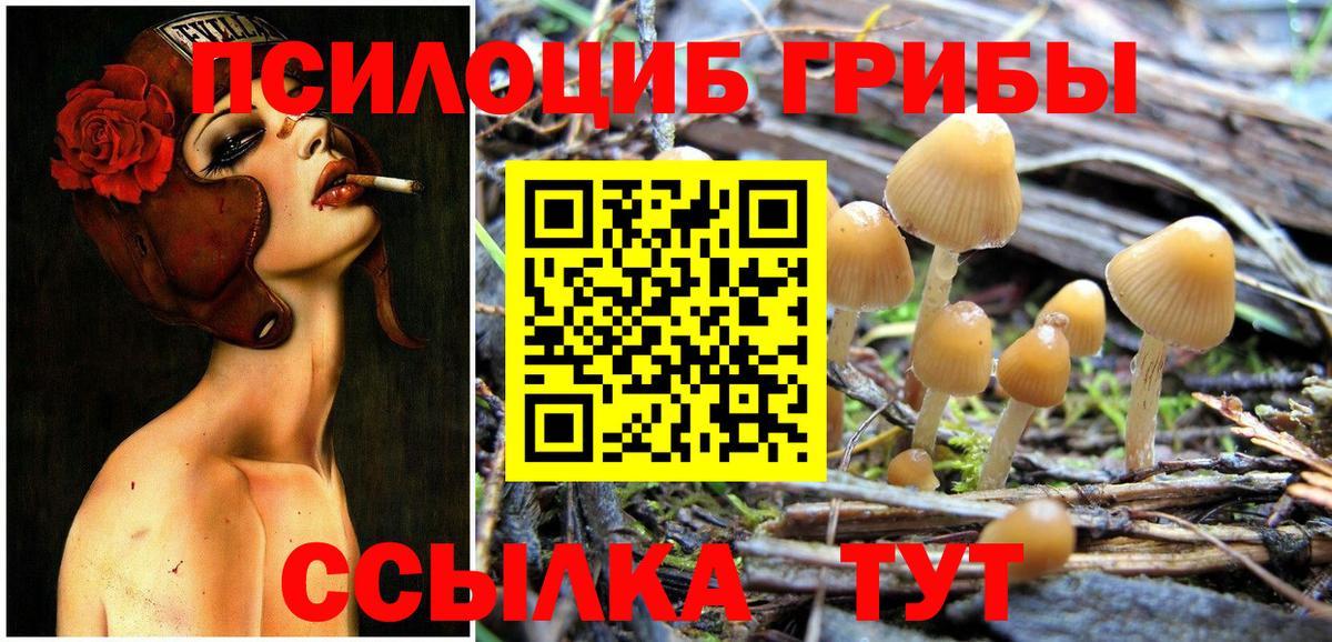 Галлюциногенные грибы мицелий Тосно