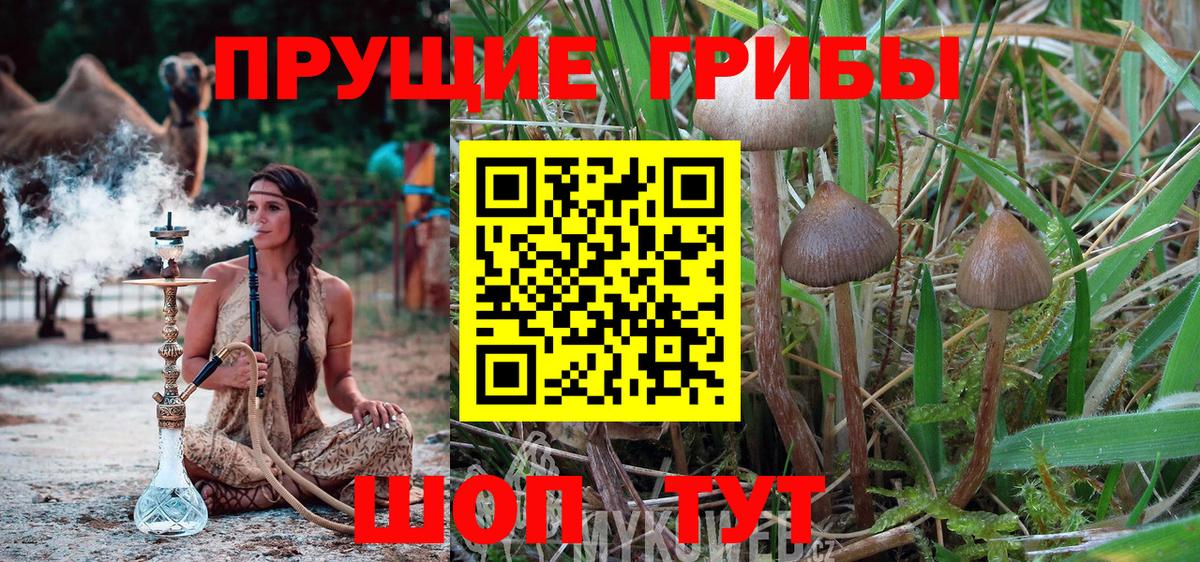 Псилоцибиновые грибы Magic Shrooms  Вход с VPN  Тосно 
